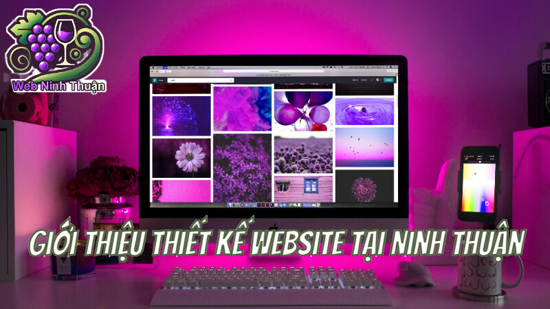 Giới thiệu thiết kế website tại Ninh Thuận