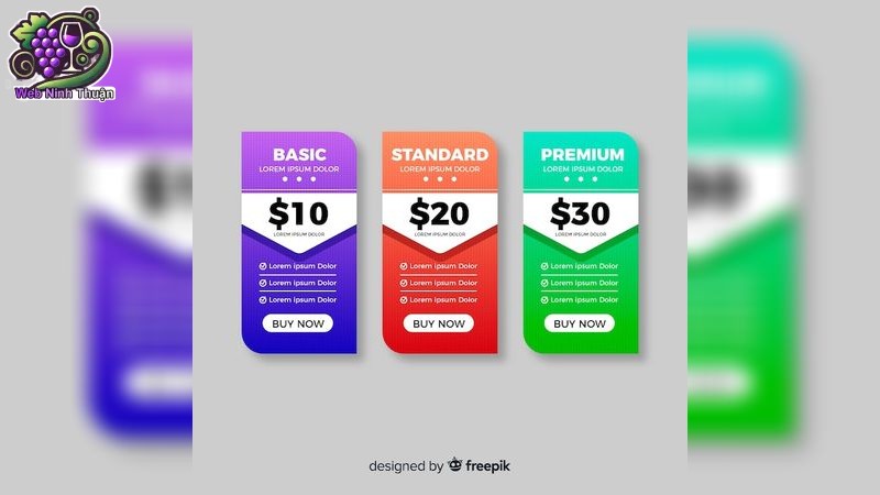 Giới thiệu tổng quan dịch vụ thiết kế website tại webninhthuan.com
