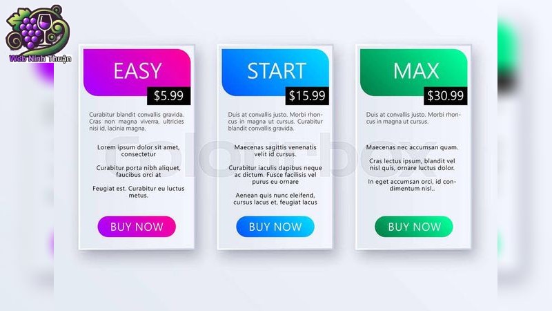 Phân tích chi tiết về bảng giá thiết kế website tại webninhthuan.com