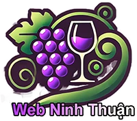 webninhthuan.com